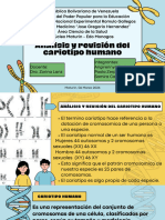 Análisis y Revisión Del Cariotipo Humano_20240310_122140_0000