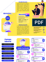 Brochure Derecho