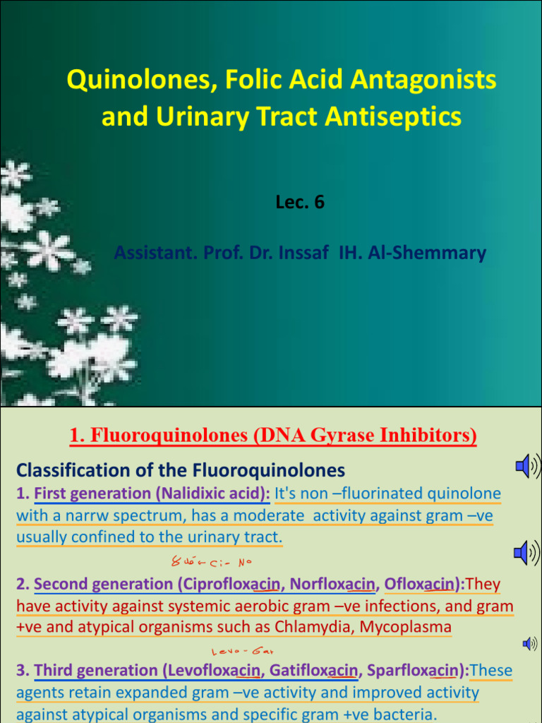6 Quinolones | PDF | Drugs | Medical Specialties