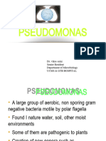 Microbiology-pseudomonas ppt