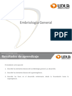 Embriologia SNC General 19.10 y 26.10