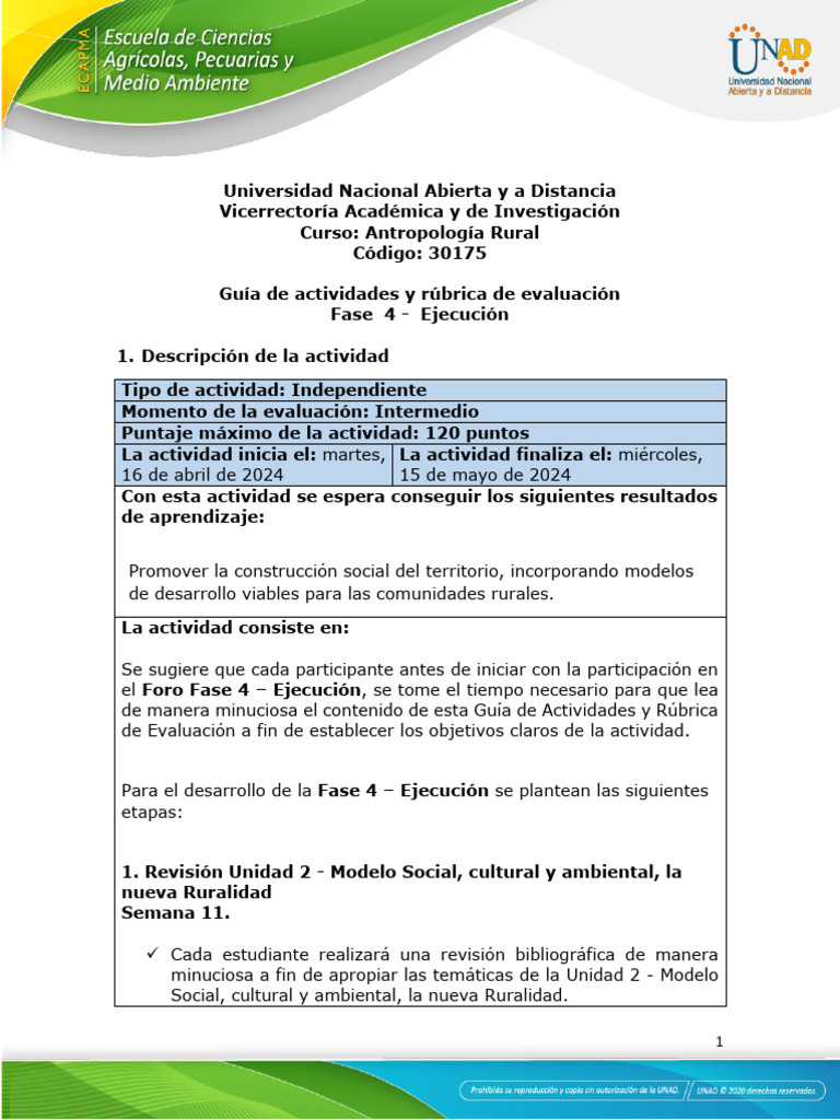 Actividades y Evaluación Antropología Rural | PDF | Ensayos | Evaluación