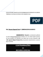 Contrarrazoes Ao Recurso Especial Tempestividade e Pretensao de Reexame de Provas