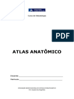 Atlas Anatômico 2024