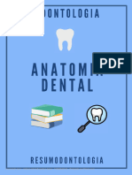 Anatomia Dental Completo