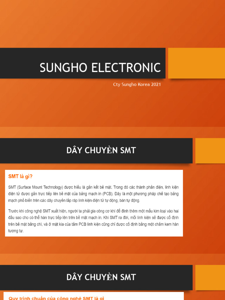 Sungho Electronic | PDF