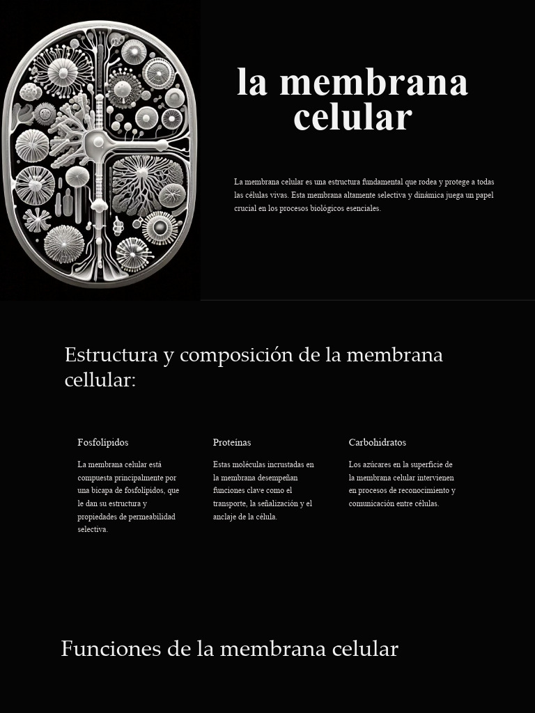 Funciones y propiedades de la membrana celular | PDF | Biología Celular ...