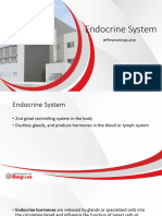 Endocrine System