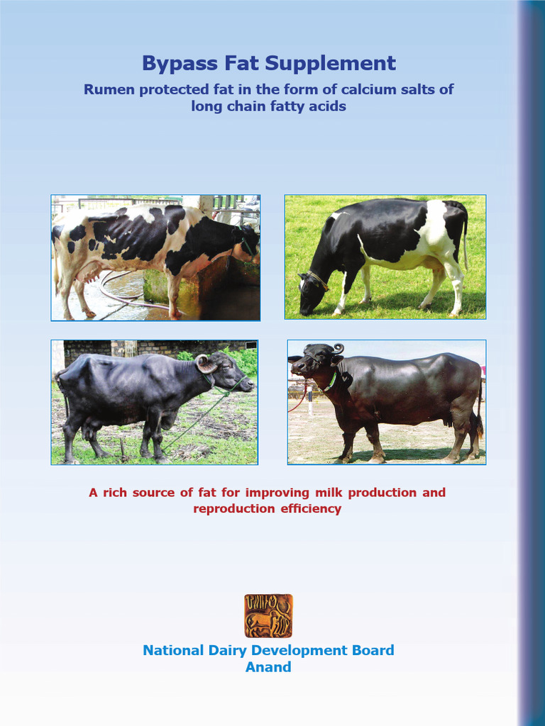 Bypass Fat Supplement for Dairy Cows | PDF | Fat | Milk