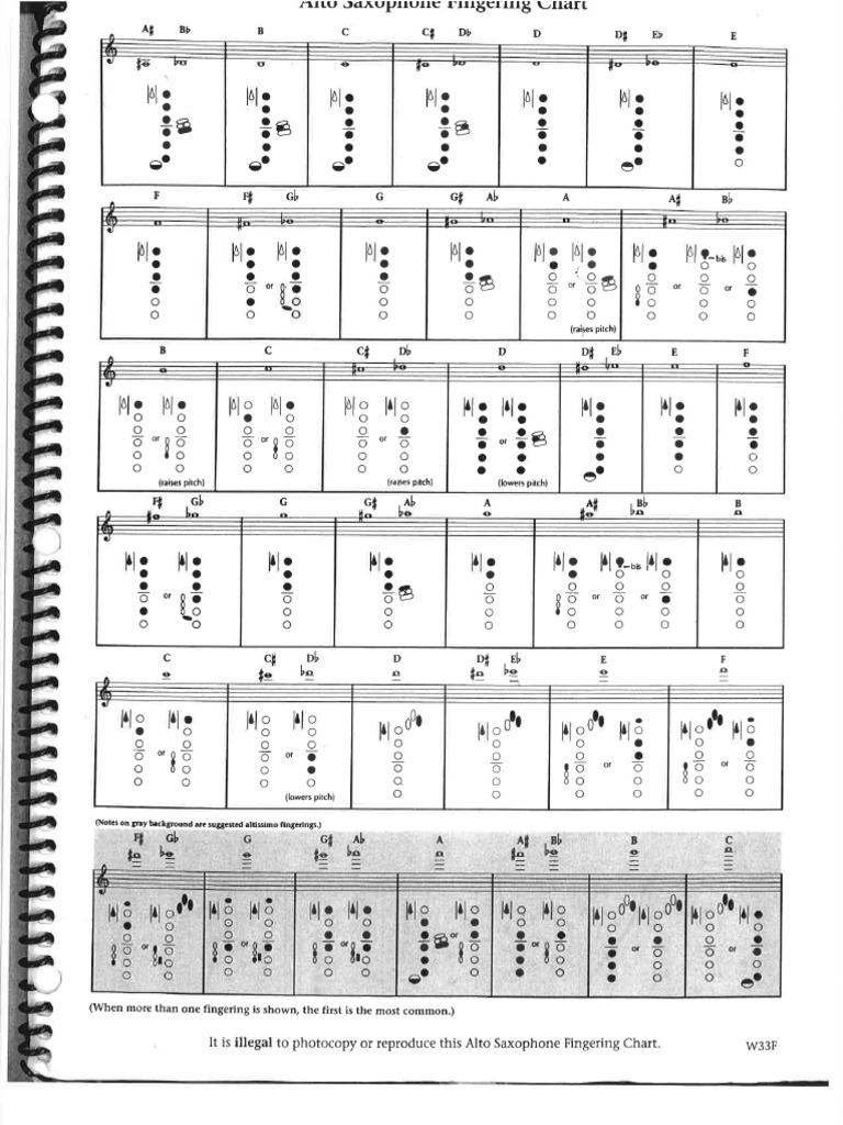 Saxfinger | PDF
