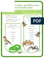 Los Animales Vertebrados e Invertebrados