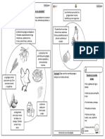 Clase N°2 Agosto, la dieta de los griegos