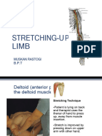 Stretching Upperlimb 220424140214