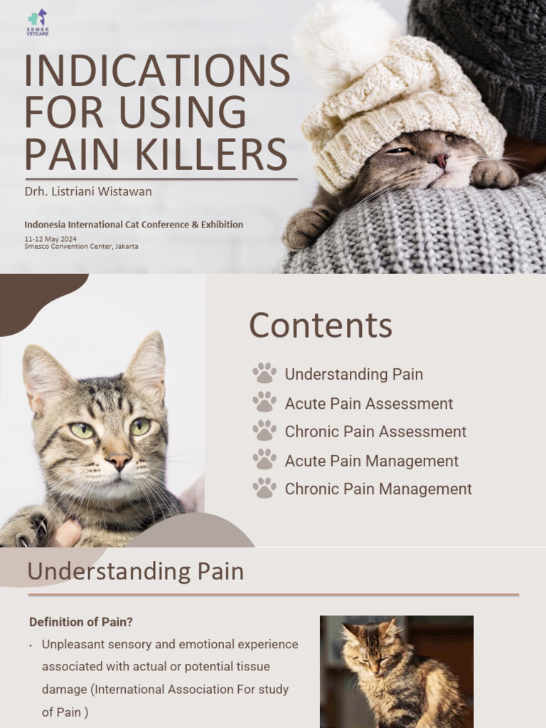 Pain Management in Cats: Key Insights | PDF | Pain | Analgesic - Pain Management In Cats With Diabetes