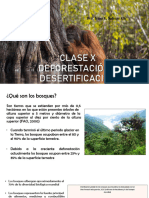 CLASE 10 DEFORESTACION Y DESERTIFICACION IRINA 2023