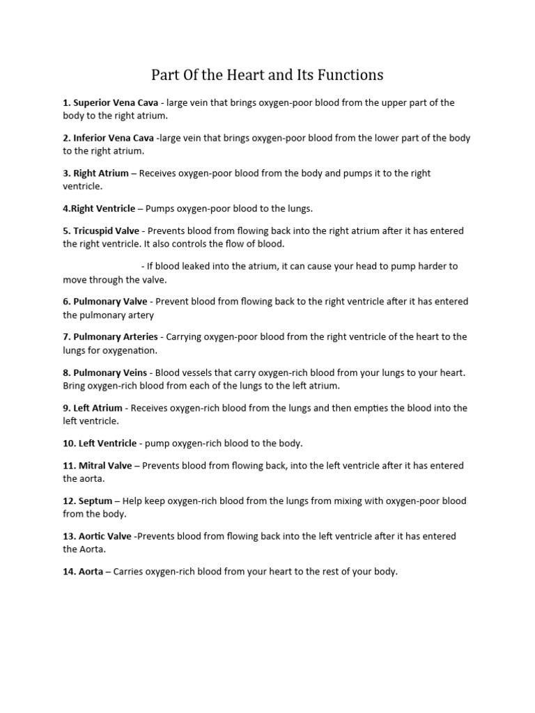 Part of The Heart and Its Functions | PDF | Wellness | Science ...