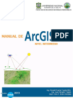 Manual Del ArcGis Intermedio