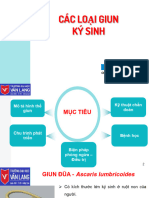 2 - KST Các Lo I Giun Ký Sinh