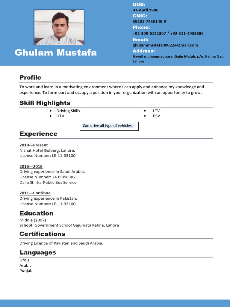 Professional Driver Profile | PDF