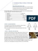 BIOL&241 Lab 1 Anatomical Terminology (1)