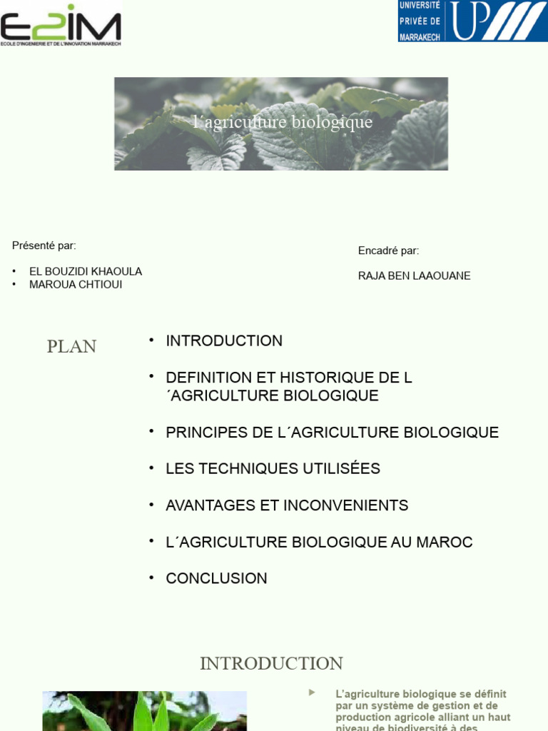 Agriculture biologique : enjeux et principes | PDF | Agriculture ...