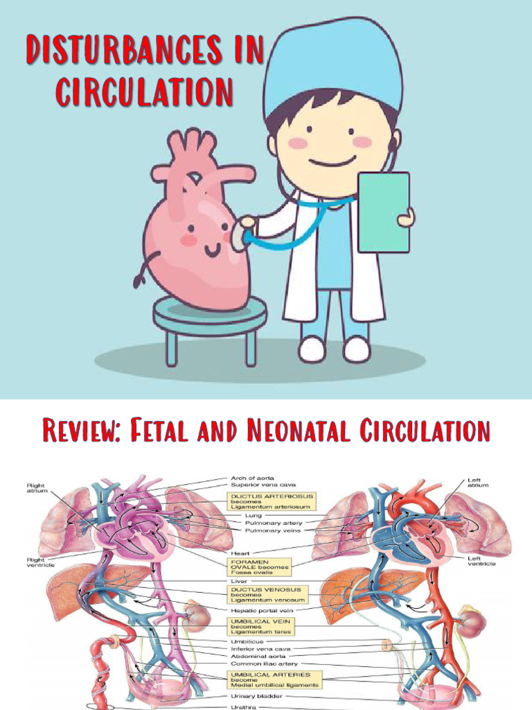 Week 6 Disturbances in Circulation | PDF | Heart | Heart Failure