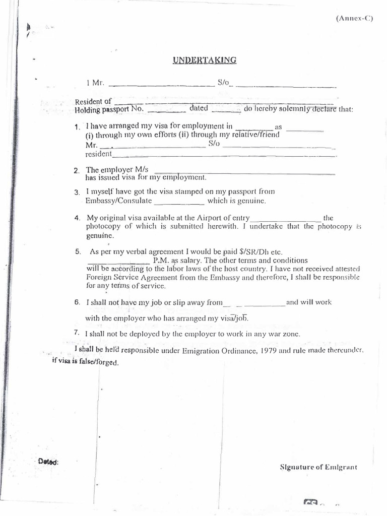 Employment Visa Declaration Form | PDF