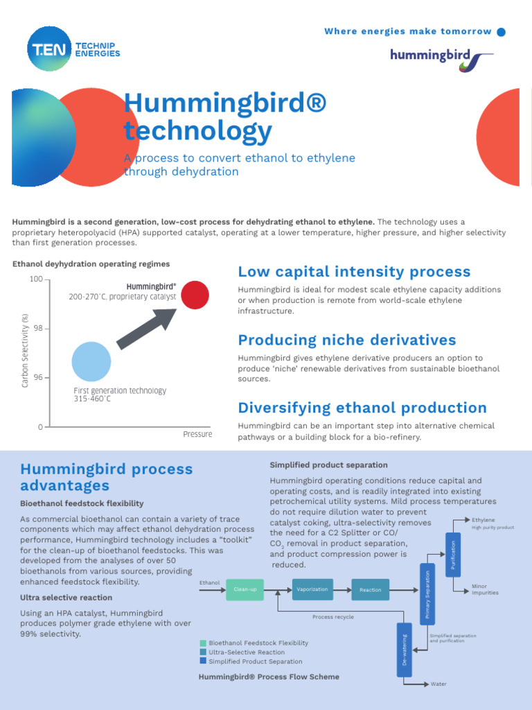 Flysheet Hummingbird | PDF | Ethanol | Chemical Substances