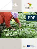 Colead Production Guide Haricots FR Web