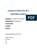 Modelo de Historia Clínica, Psicopatologia