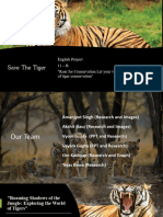 Save The Tiger - Final Project