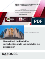 Sesión 13 - Revisión Jurisdiccional de las  Medidas de Prevención en los Delitos de Violencia Familiar - Dra. Patricia Isabel Posadas (1)