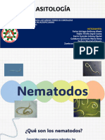 Nematodos - Grupo 2