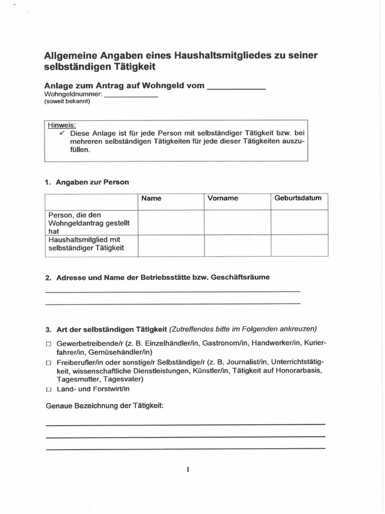 Anlage - Angaben Eines Haushaltsmitgliedes Zu Seiner Selbständigen ...