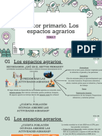 3ºeso Sector Primario