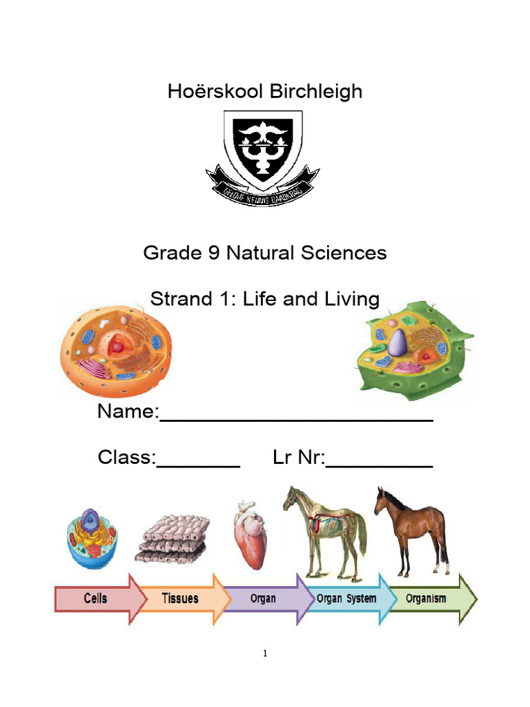 gr-9-ns-strand-1-2021-notes-pdf-lung-human-reproduction