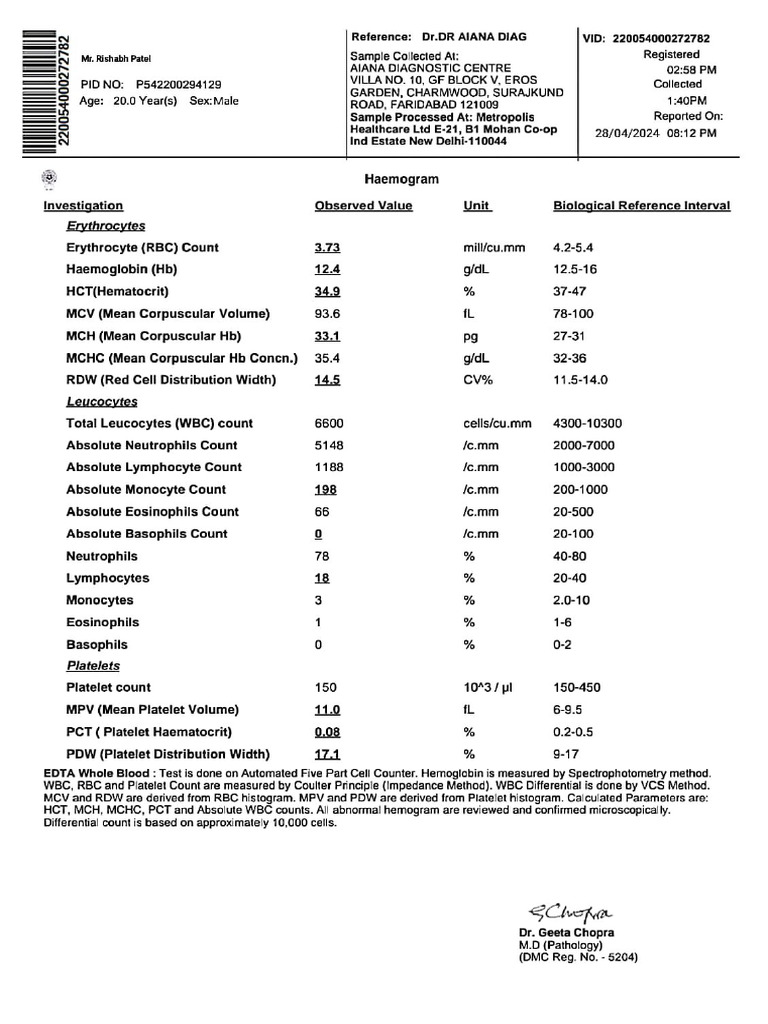 Report Rishabh | PDF