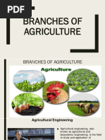 Key Branches of Agriculture Explained | PDF | Agriculture | Soil