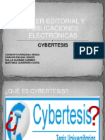 Cybertesis