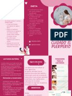 Brochure Triptico Curso Lactancia Materna Organico Rosado (2) (1)