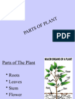 Plant Parts (Modified)(2)