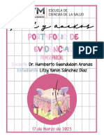 Portafolio de Evidencia Litzy Yanin Sanchez Diaz