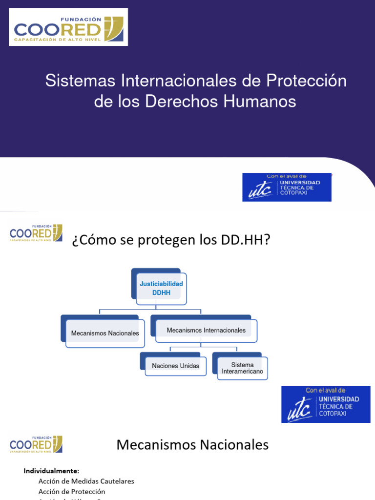 Protección Internacional de DD.HH. | PDF | Derechos humanos | Convenio ...