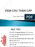 VIÊM CẦU THẬN CẤP NK1 2023