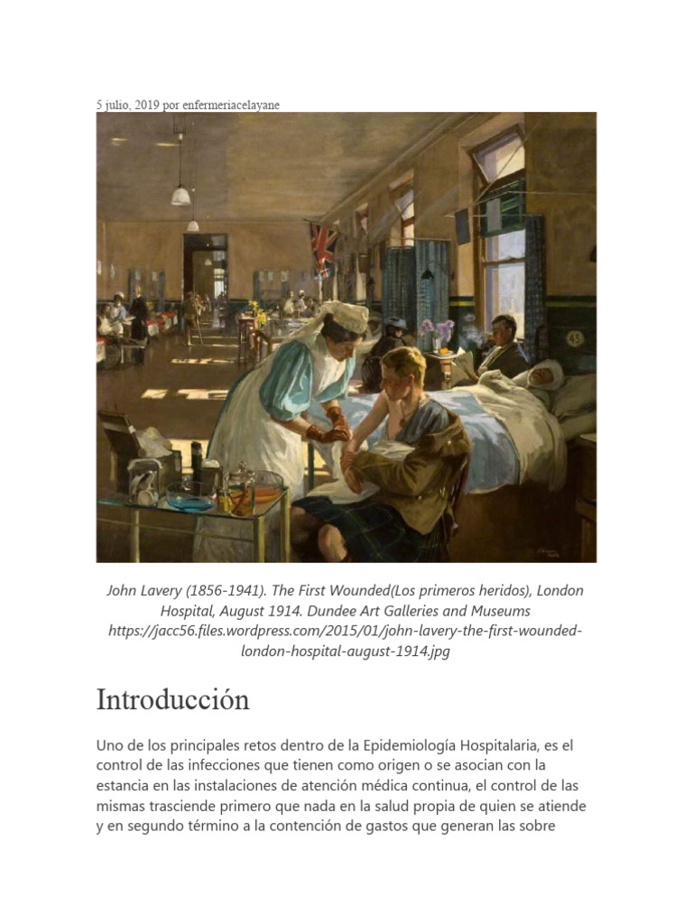 Infecciones Nosocomiales Unidad 8 Pdf Infección Adquirida En El