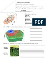 Лабораторна_робота №2 типи клітин