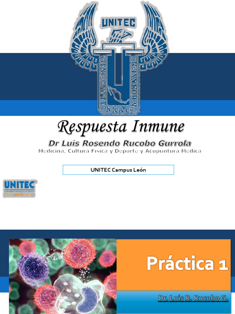 Práctica 1 | PDF