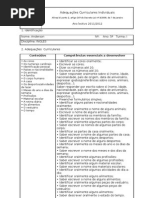 Adequações Curriculares Individuais