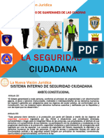 Seguridad Ciudadana Parte Final