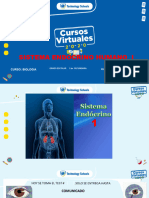 2 SEC - Sistema Endocrino Humano 1
